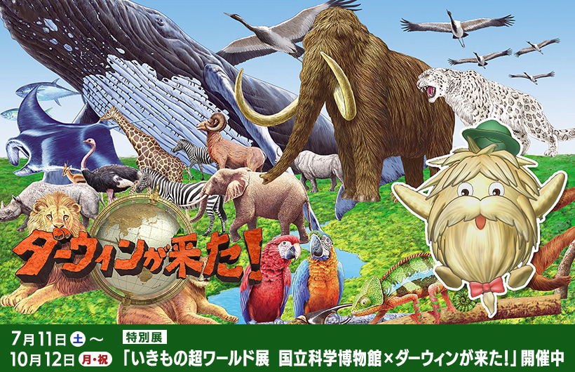 NHK キャラクターショップ TOKYO オフィシャルオンラインショップ